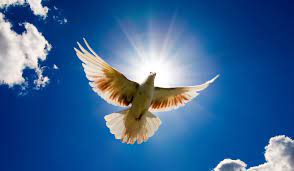 Free Holy Spirit Dove, Download Free Holy Spirit Dove png images, Free  ClipArts on Clipart Library